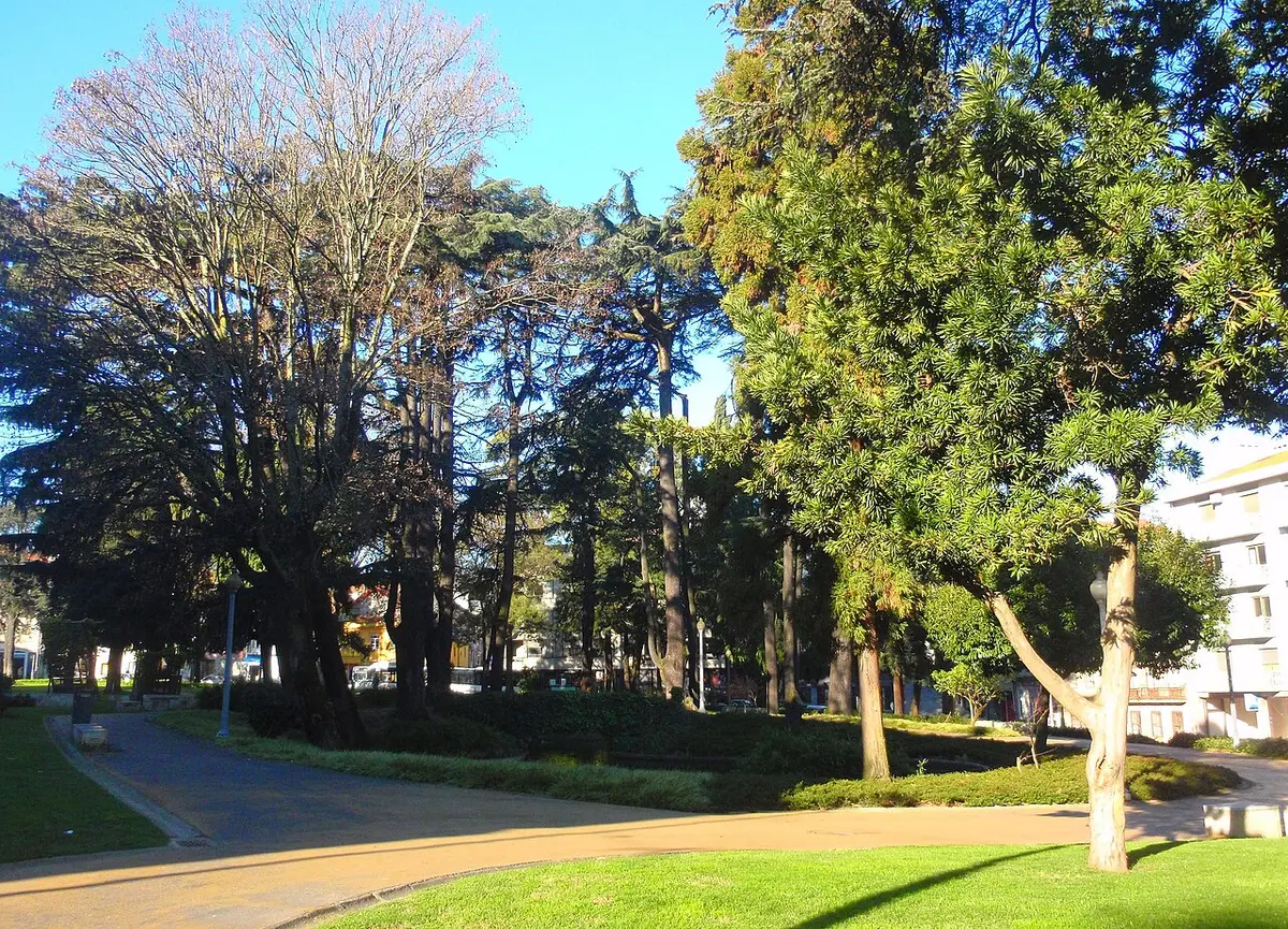 Jardim urbano com árvores altas, relvado e caminho de saibro sob céu azul