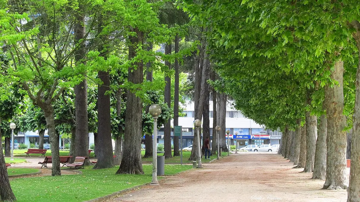 Alameda arborizada do Parque Doutor Manuel Braga, em Coimbra, com bancos, candeeiros e relvado.