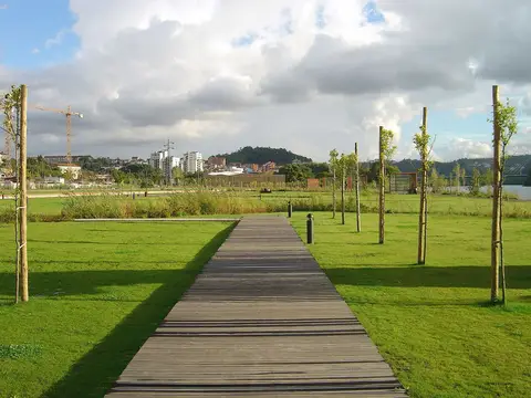 Passadiço de madeira sobre relvado com árvores jovens no Parque Verde do Mondego, em Coimbra