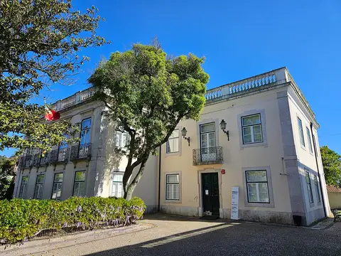 Edifício histórico da Biblioteca Municipal de Belém, com fachada clara e árvore em frente, sob céu azul.