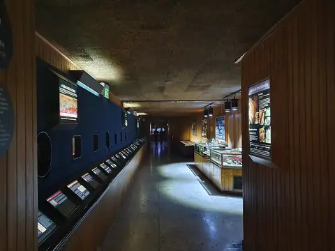 Corredor expositivo do Aquário Vasco da Gama com painéis informativos e vitrinas em madeira