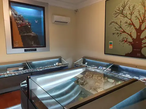 Sala de museu com vitrinas de conchas e fósseis e painéis ilustrativos nas paredes