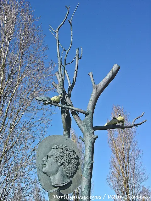 Escultura em bronze com árvore, aves e rosto de José Afonso, no parque municipal, contra céu azul