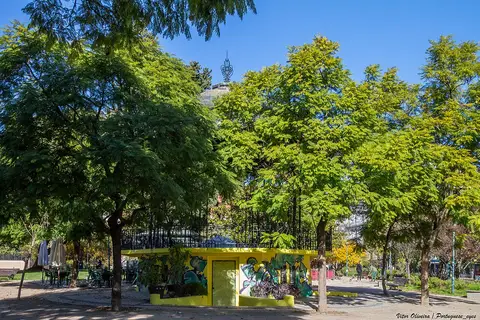 Quiosque amarelo com esplanada entre árvores no Jardim Henrique Lopes de Mendonça, em Lisboa