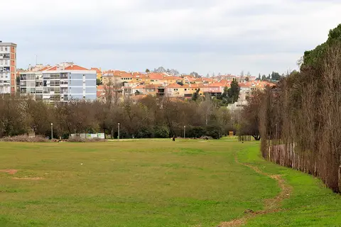 Grande relvado do Parque do Vale do Silêncio com árvores e prédios da cidade ao fundo