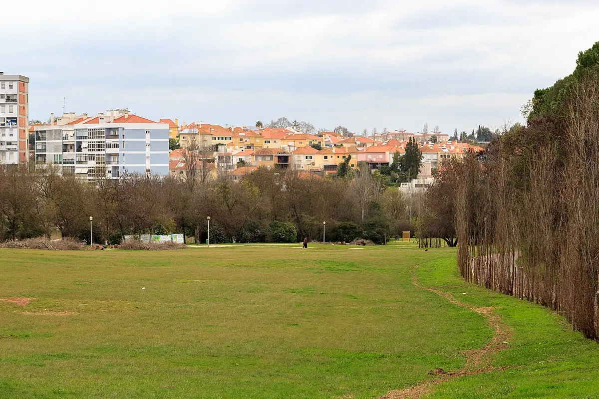 Grande relvado do Parque do Vale do Silêncio com árvores e prédios da cidade ao fundo