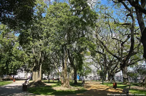 Jardim de Santos, em Lisboa, com árvores frondosas, relvado e caminhos de terra batida
