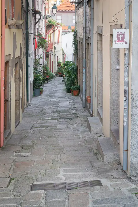 Rua das Aldas, no Porto: viela estreita em calçada, com fachadas antigas, vasos de plantas e tabuleta de taberna.