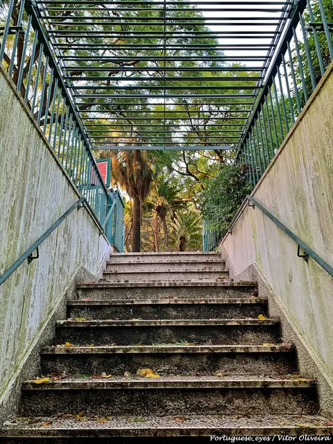Escadas de acesso ao Reservatório da Patriarcal, com gradeamento verde e vegetação, Lisboa