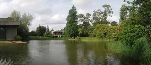 Lago do Jardim Gulbenkian rodeado de vegetação, com o edifício em betão à esquerda