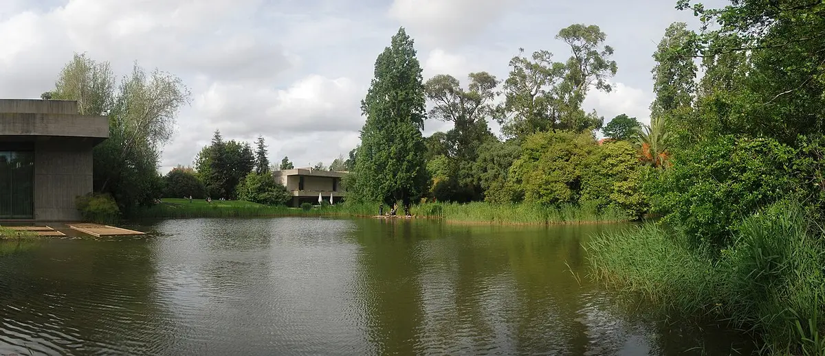 Lago do Jardim Gulbenkian rodeado de vegetação, com o edifício em betão à esquerda