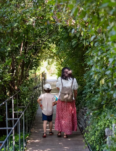 Passadiço de madeira sob túnel de vegetação no Jardim Gulbenkian, com duas pessoas de costas.