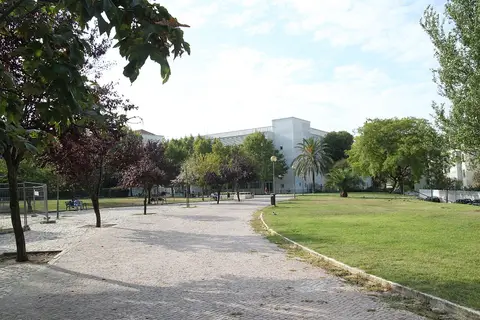Jardim com caminho calcetado, relvado e árvores, com edifício branco ao fundo