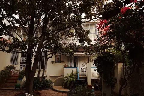 Jardim da Casa-Museu Amália Rodrigues, com árvores, buganvílias e fachada da casa ao fundo