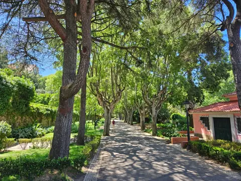 Alameda arborizada do Jardim Municipal de Oeiras com caminho sombreado e casa rosa ao fundo