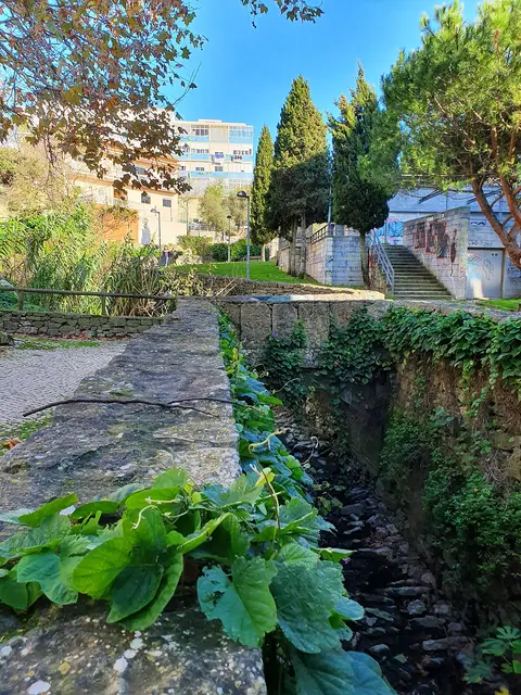 Jardim urbano com ribeira canalizada em muro de pedra, vegetação, escadaria e árvores ao fundo