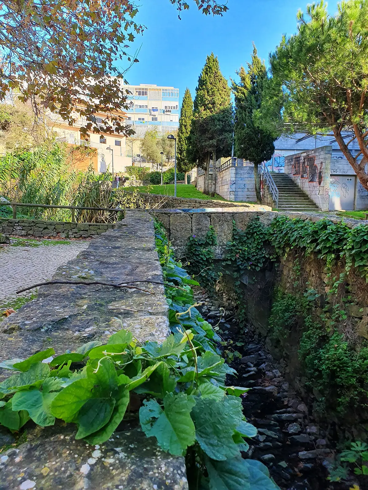 Jardim urbano com ribeira canalizada em muro de pedra, vegetação, escadaria e árvores ao fundo