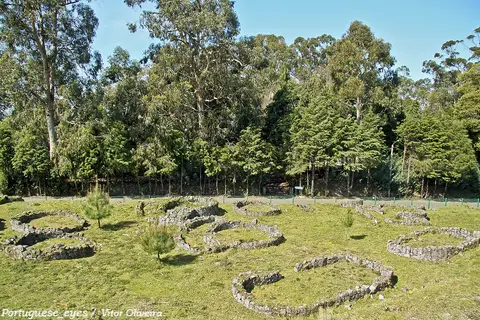 Ruínas circulares de casas do povoado castrejo da Citânia de Santa Luzia, rodeadas de relva e pinhal.