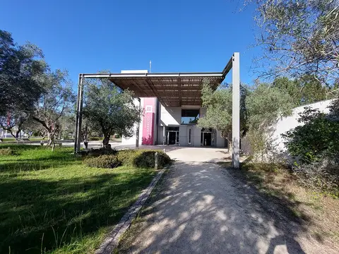 Fachada principal do Centro de Interpretação da Batalha de Aljubarrota, com caminho e oliveiras