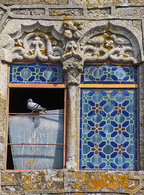 Janela geminada gótica em pedra do Solar dos Pinheiros, com vitrais azuis e um pombo pousado.