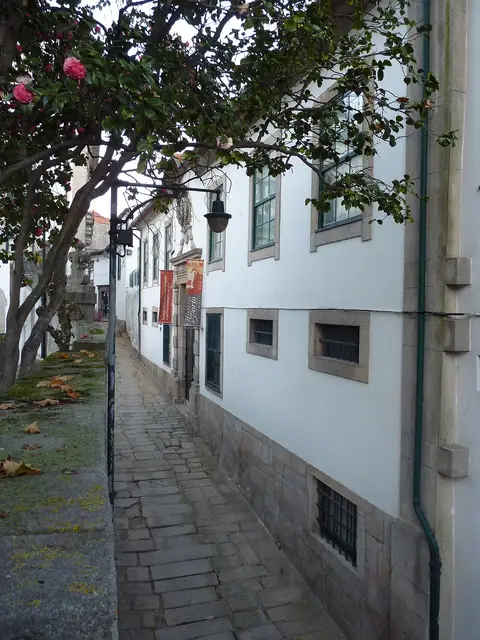 Rua estreita calcetada junto à fachada branca da Casa-Museu Guerra Junqueiro, com camélia em flor