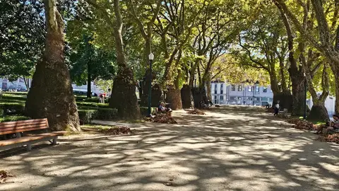 Alameda arborizada do Jardim de João Chagas com bancos e sombras das árvores