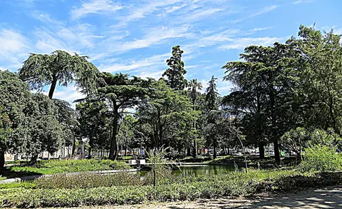 Jardim com árvores altas, canteiros e lago sob céu azul