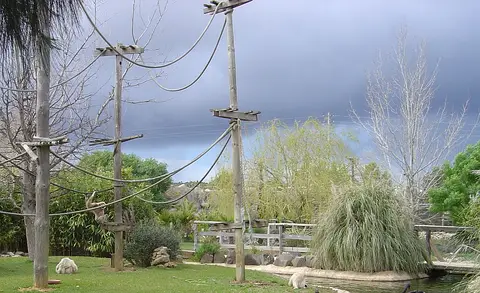 Recinto do Parque Zoológico de Lagos com postes e cordas para primatas, relva, lago e vegetação.