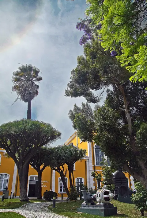 Edifício amarelo do Museu da Água em Lisboa, com jardim, dragoeiros e palmeira, e maquinaria exposta.