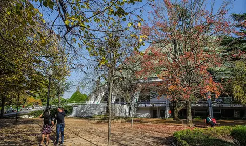 Árvores de folhagem outonal e edifício moderno nos Jardins do Palácio de Cristal, no Porto