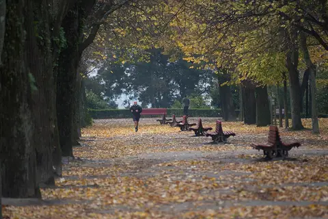 Alameda arborizada com bancos e folhas de outono nos Jardins do Palácio de Cristal, no Porto