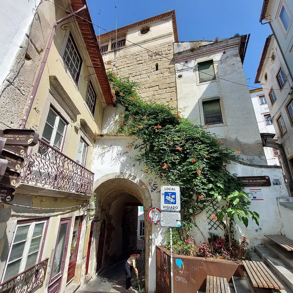 Arco de Almedina em Coimbra, com trepadeira florida e casas antigas em redor