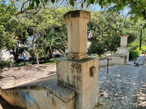 Pilares de pedra e escadaria com calçada portuguesa à entrada do Jardim Avelar Brotero, rodeados de árvores