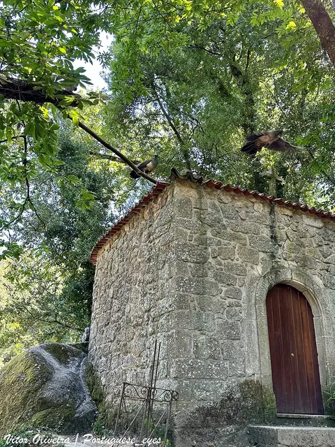 Pequena capela de granito com porta em arco, rodeada de árvores e rochas na Mata do Fontelo, Viseu