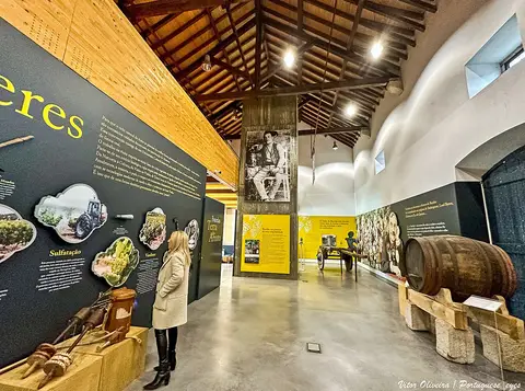 Interior do Museu do Vinho e da Vinha de Bucelas com painéis expositivos e pipa de madeira
