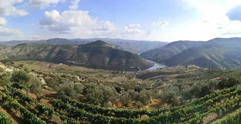 Vista panorâmica do vale do Douro com vinhas em socalcos e o rio, a partir do miradouro de Casal de Loivos