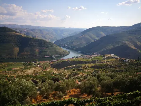 Vista panorâmica do vale do Douro com socalcos de vinha e o rio, a partir do miradouro de Casal de Loivos