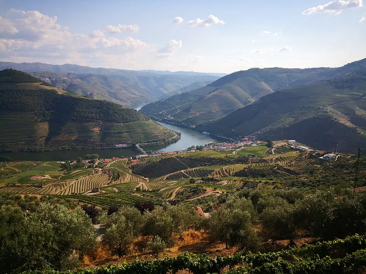Vista panorâmica do vale do Douro com socalcos de vinha e o rio, a partir do miradouro de Casal de Loivos
