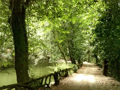 Caminho arborizado junto a um lago no Parque do Bom Jesus, em Braga