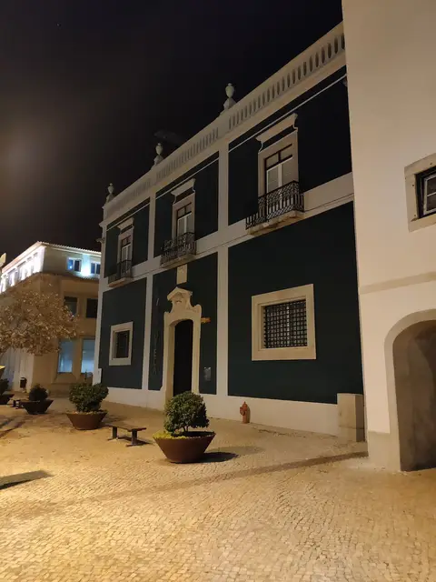 Fachada verde da Biblioteca Pública Municipal de Setúbal iluminada à noite, com praça calcetada e vasos.