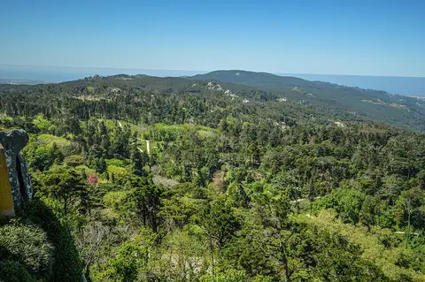 Vista panorâmica sobre a floresta do Parque da Pena, em Sintra, com o mar ao fundo