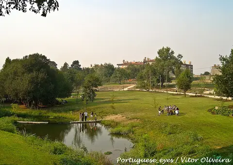 Lago e relvado do Parque da Lavandeira, com árvores e pessoas ao longe num passadiço de madeira.