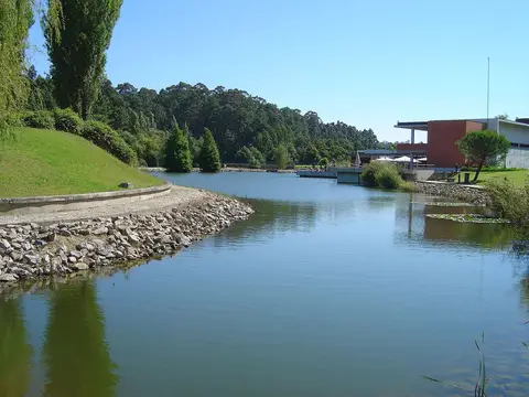 Lago rodeado de relva e árvores junto ao edifício do Europarque, em Santa Maria da Feira