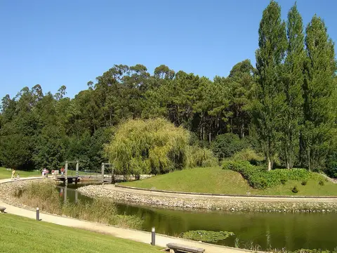 Lago com ponte de madeira, relvados e árvores nos jardins do Europarque, Santa Maria da Feira