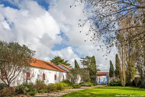 Edifício branco de telhado vermelho rodeado de jardim e árvores, no Museu Arqueológico de São Miguel de Odrinhas