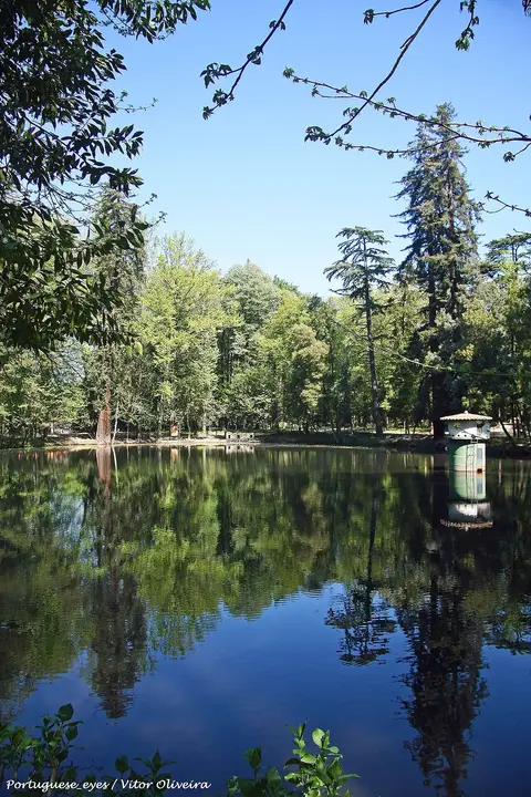 Lago rodeado de árvores no Parque das Termas de Vizela, com reflexos na água e casinha na margem