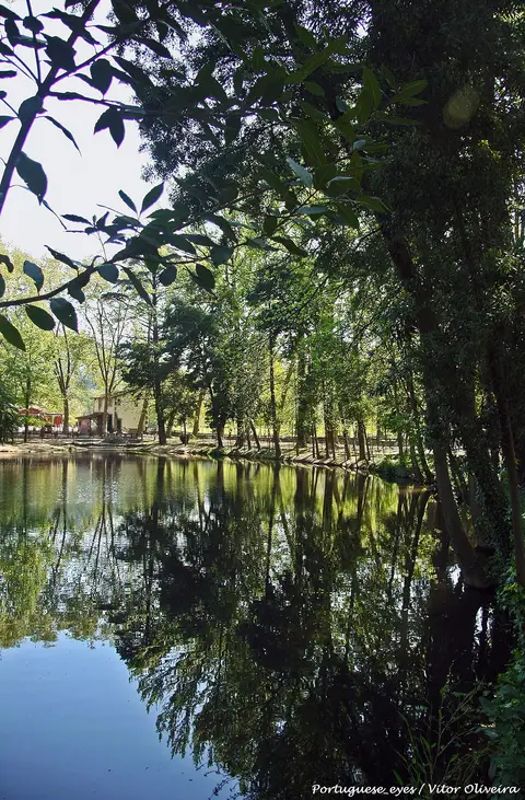 Rio ladeado de árvores no Parque das Termas de Vizela, com reflexos na água