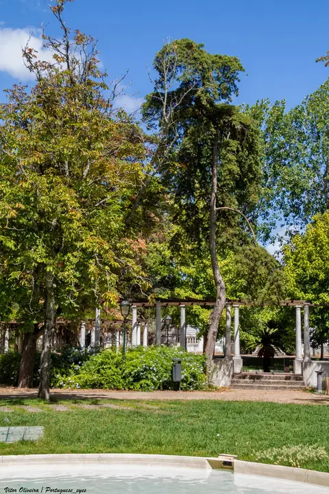 Jardim com árvores altas, relvado, pérgula com colunas e tanque de água em primeiro plano
