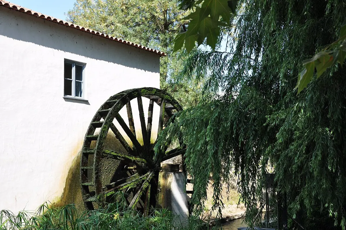 Roda de água de madeira junto à parede branca do Moinho do Papel, rodeada de vegetação