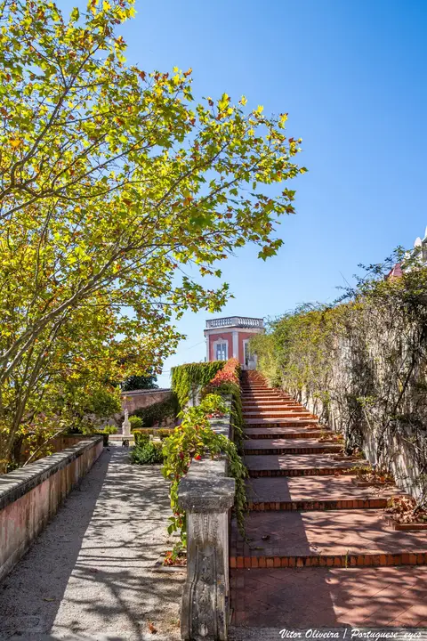 Escadaria e caminho arborizado do Jardim das Damas, com pavilhão rosa ao fundo sob céu azul